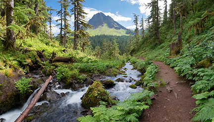 Opal Creek Trail